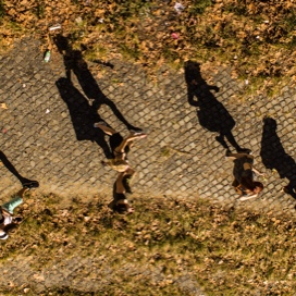 Aerial view of people walking casting shadows on the group